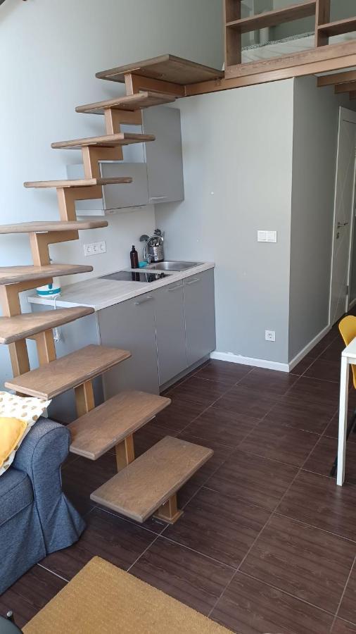 Butas Loft For Vilnius